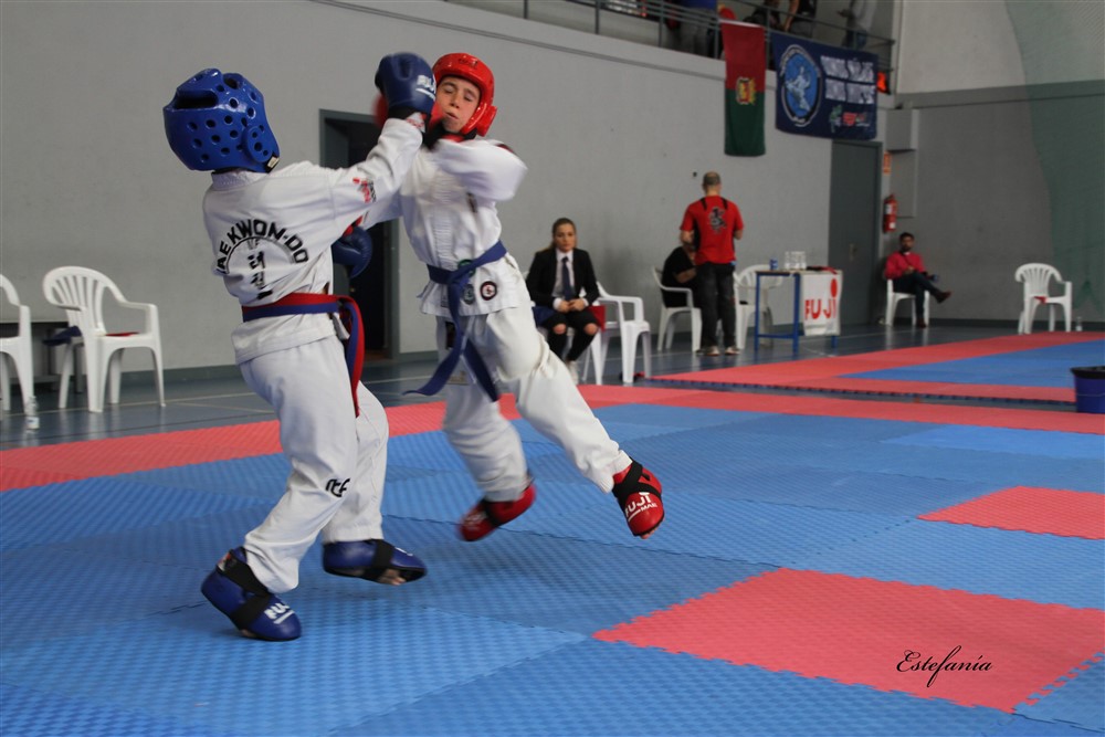Copa Seul 2018 (510).jpg